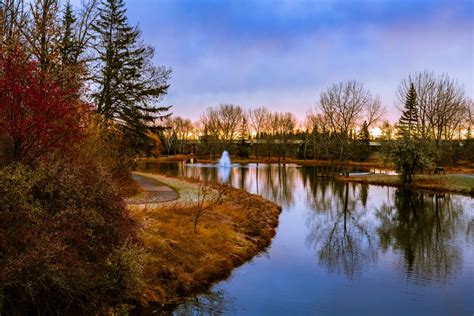 orkin red deer|Orkin Canada in Red Deer, AB 